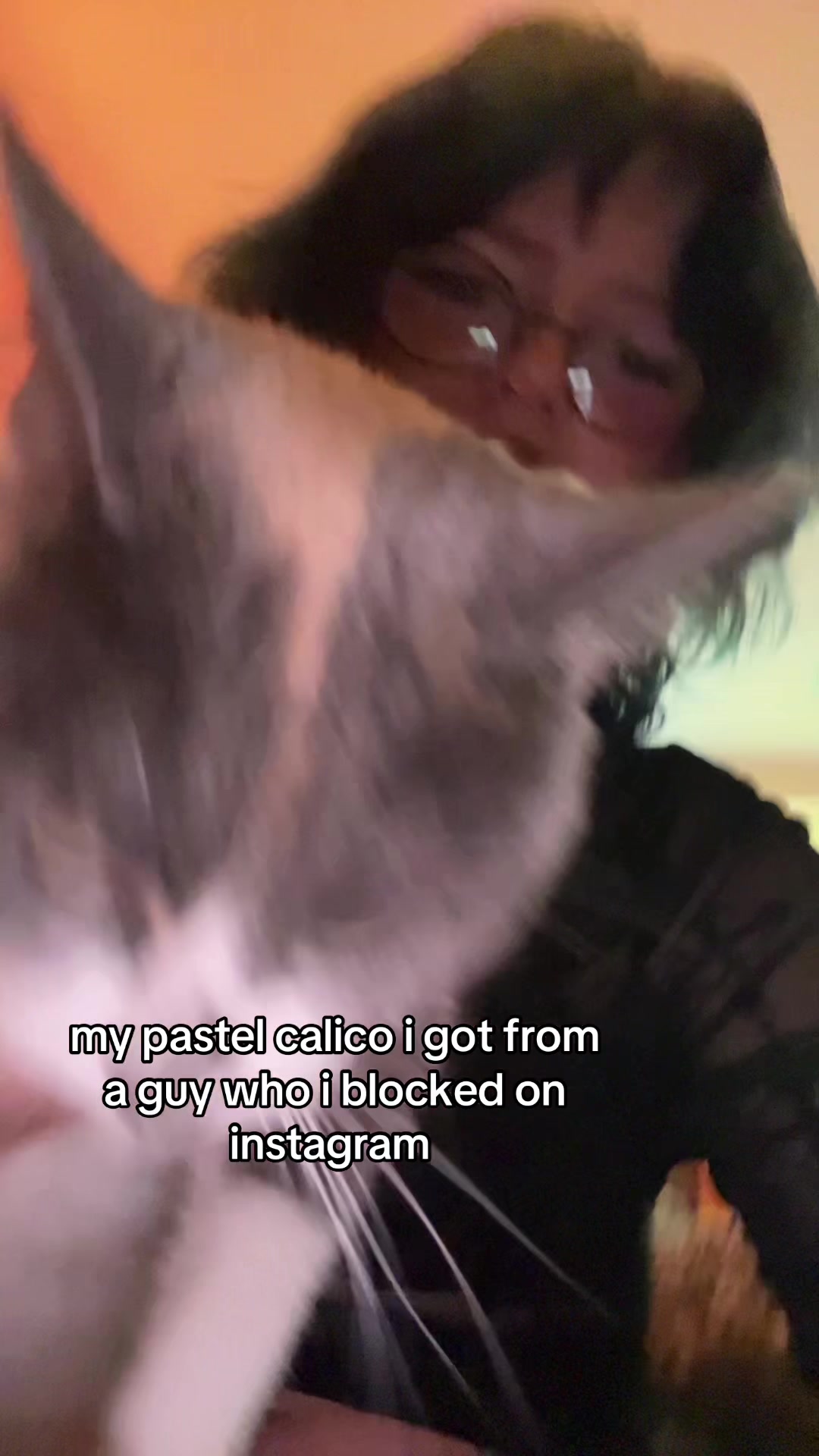 @vivi