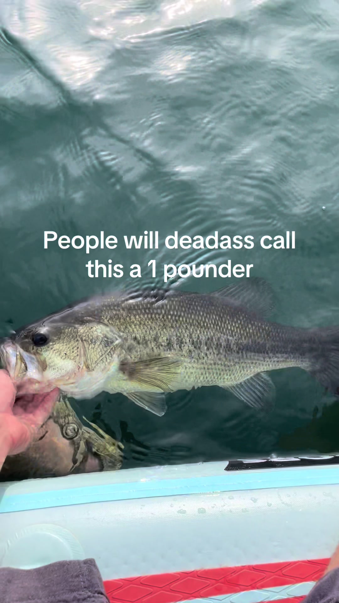 @sams.fishing_
