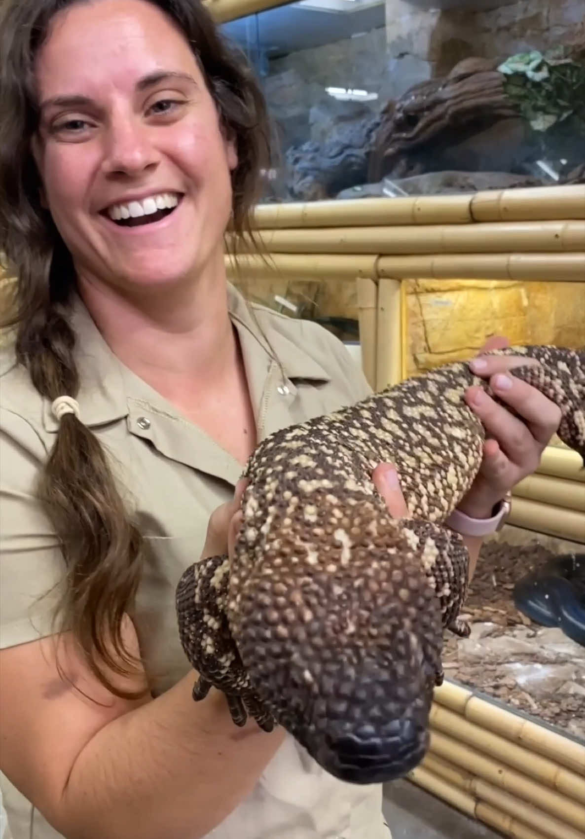 @The Reptile Zoo