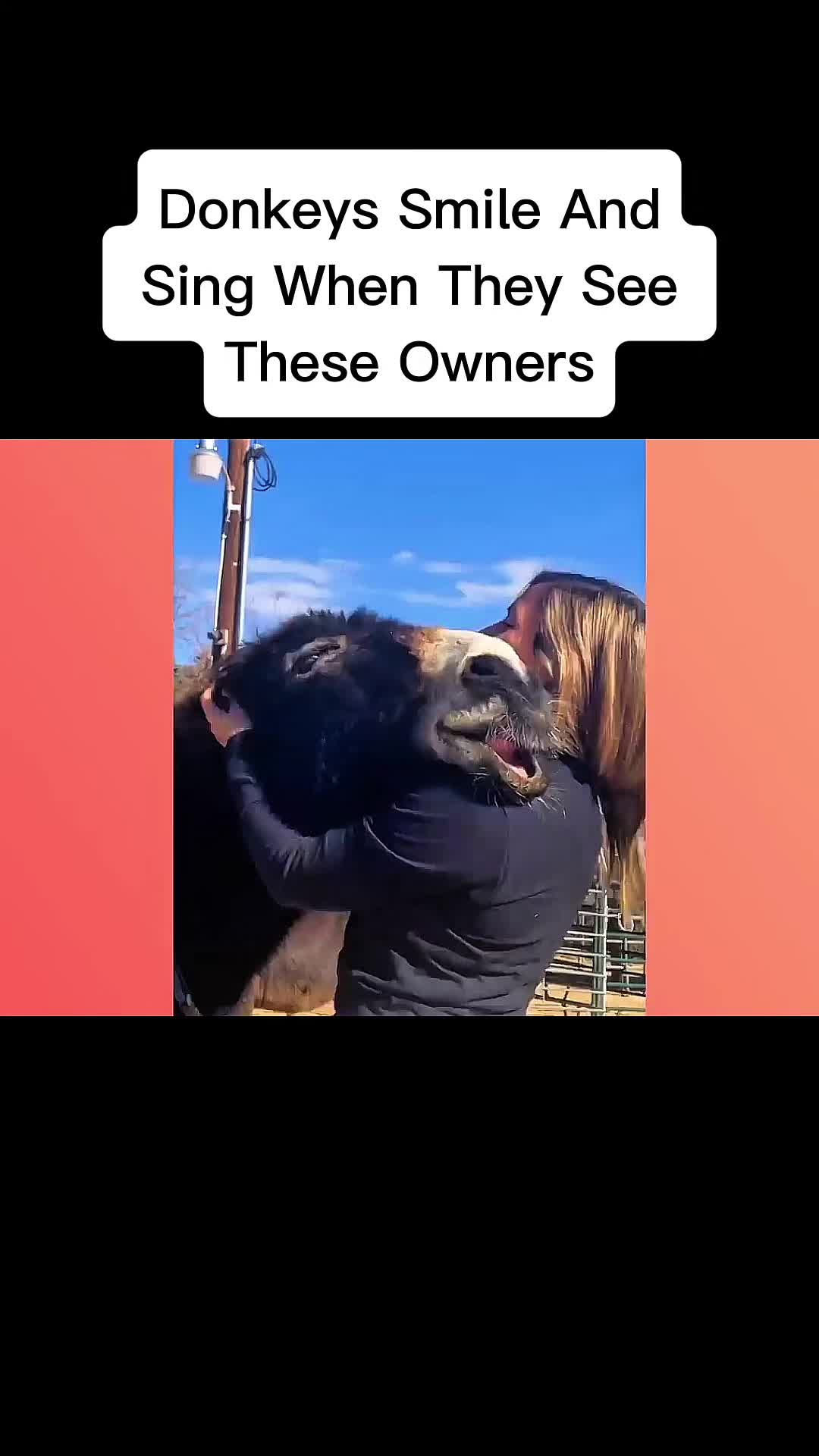 @cddle_buddies_channel