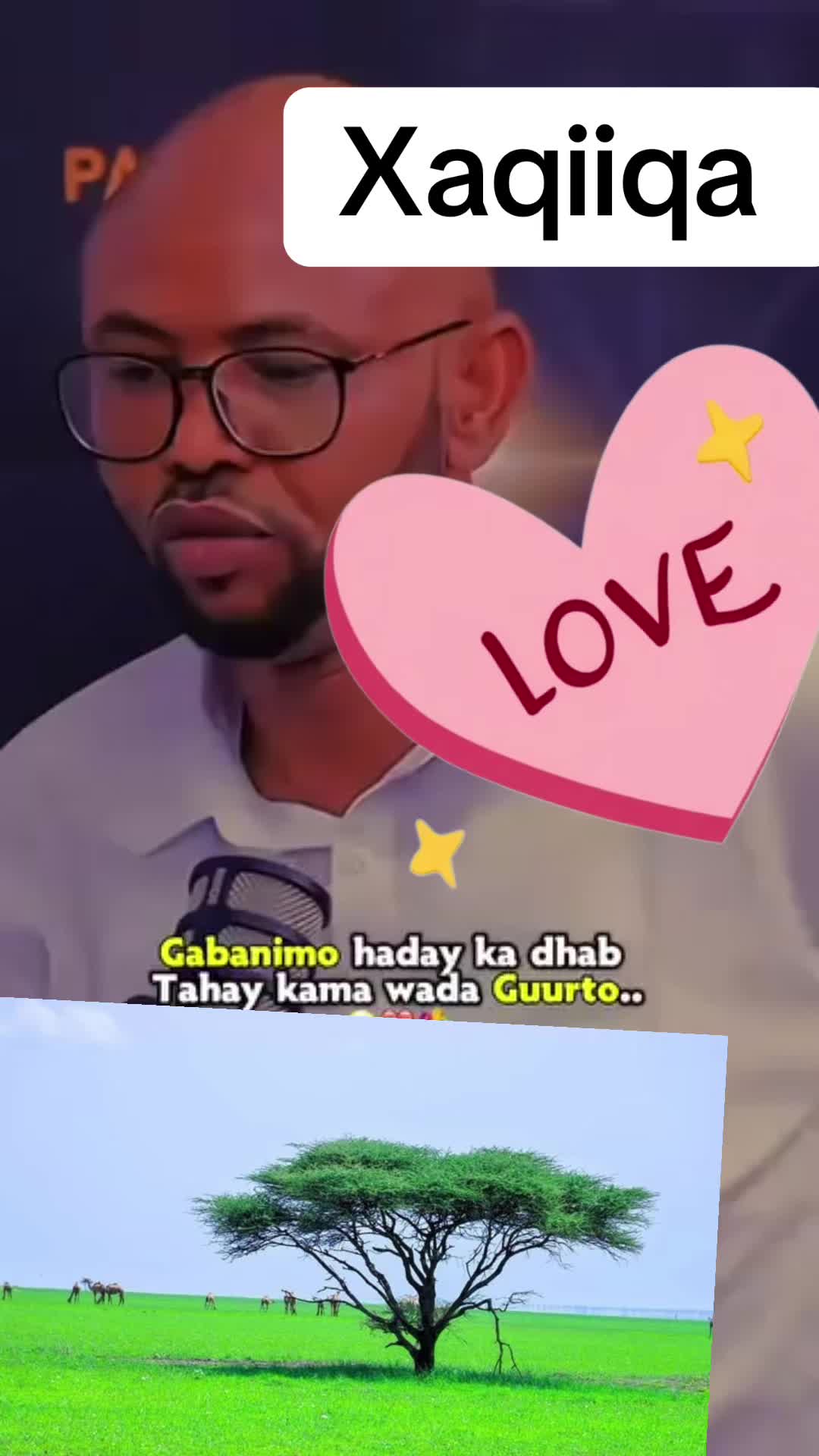 @Raxmam01