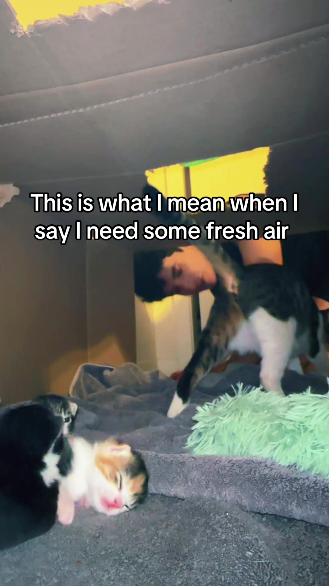 @Hassanwithkittens