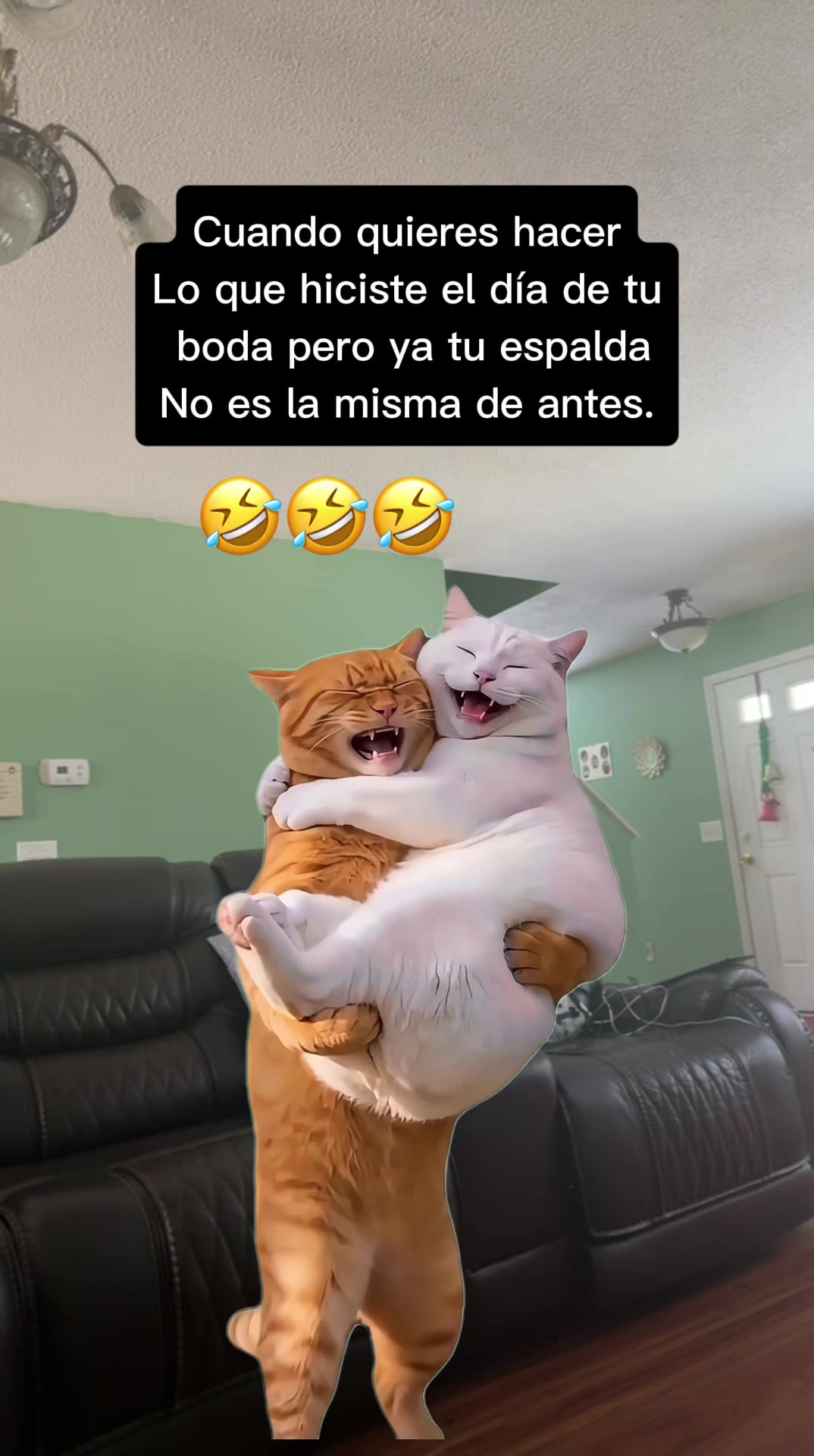 @RosaLinda 🌹🌹🌹