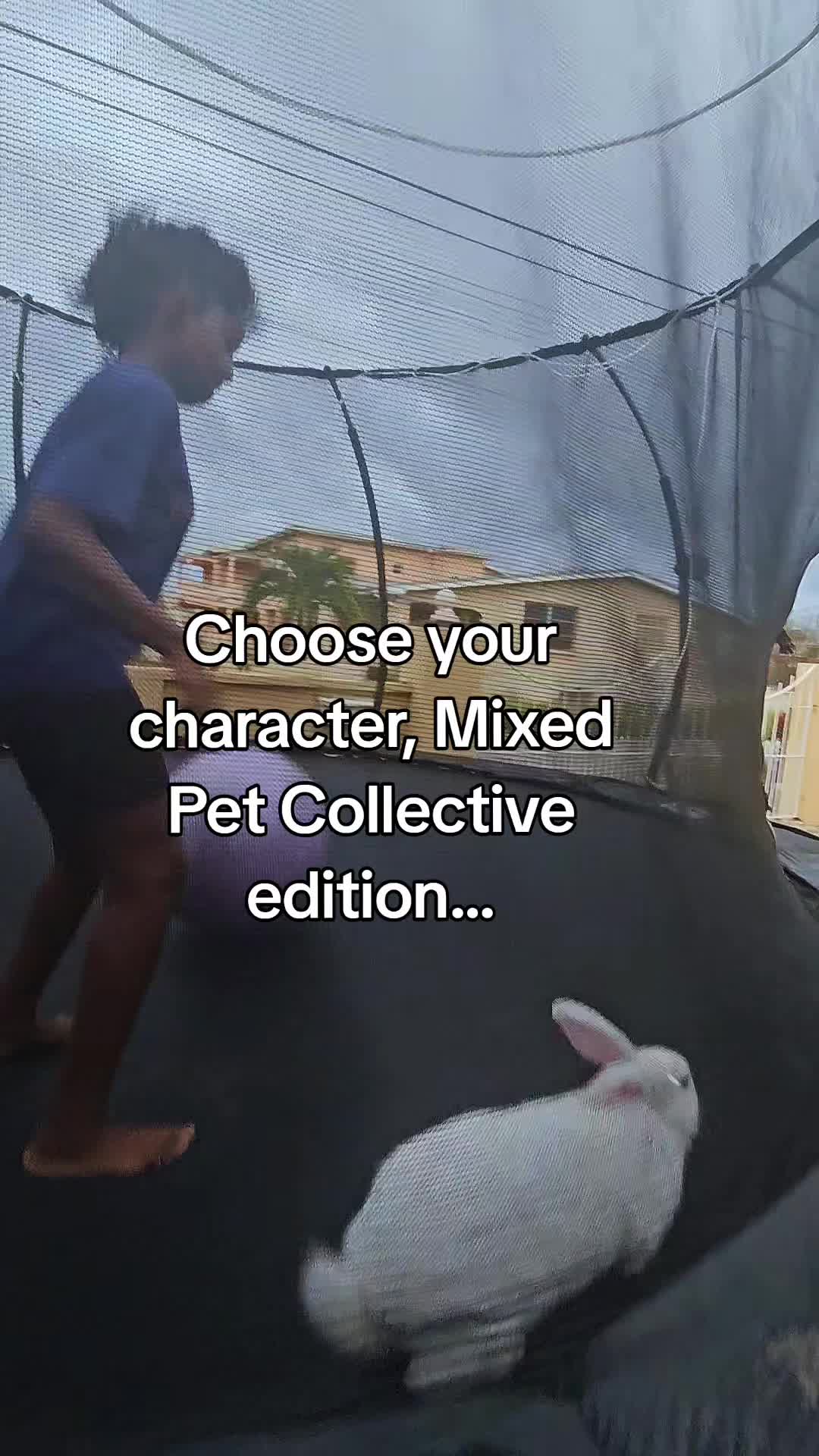 @MixedPetCollective