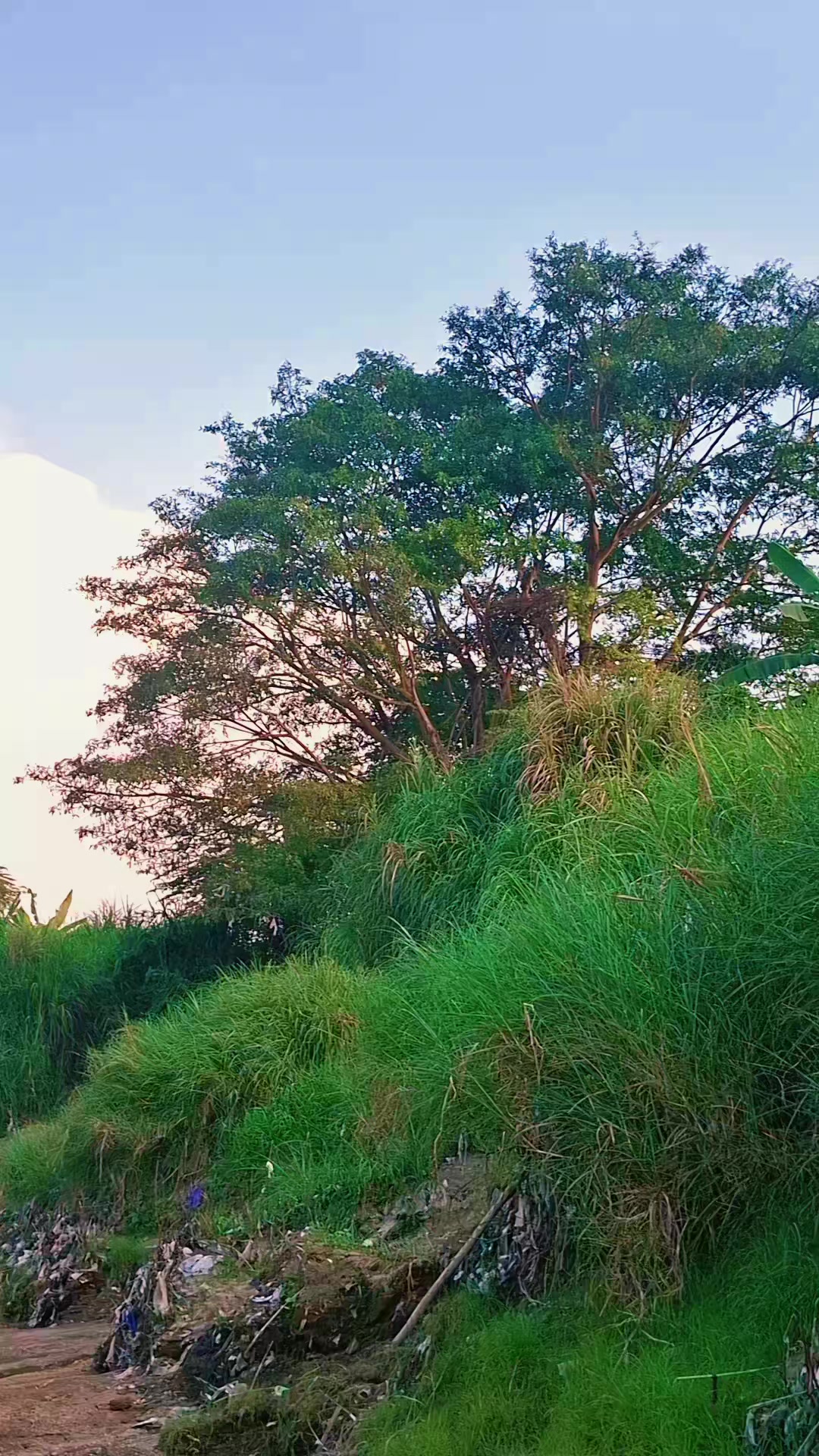 @𝐌𝐑 𝐋i𝔼𝐌
