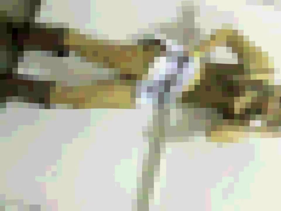 @๐๐๐ช ๐ก๐พ๐ถ๐ฒ ๐