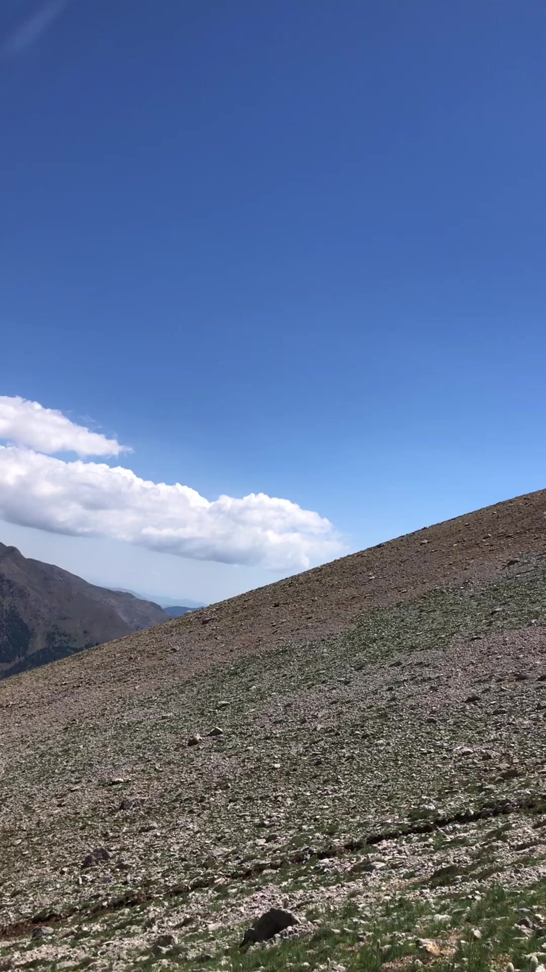 @ALİ AKKAŞ