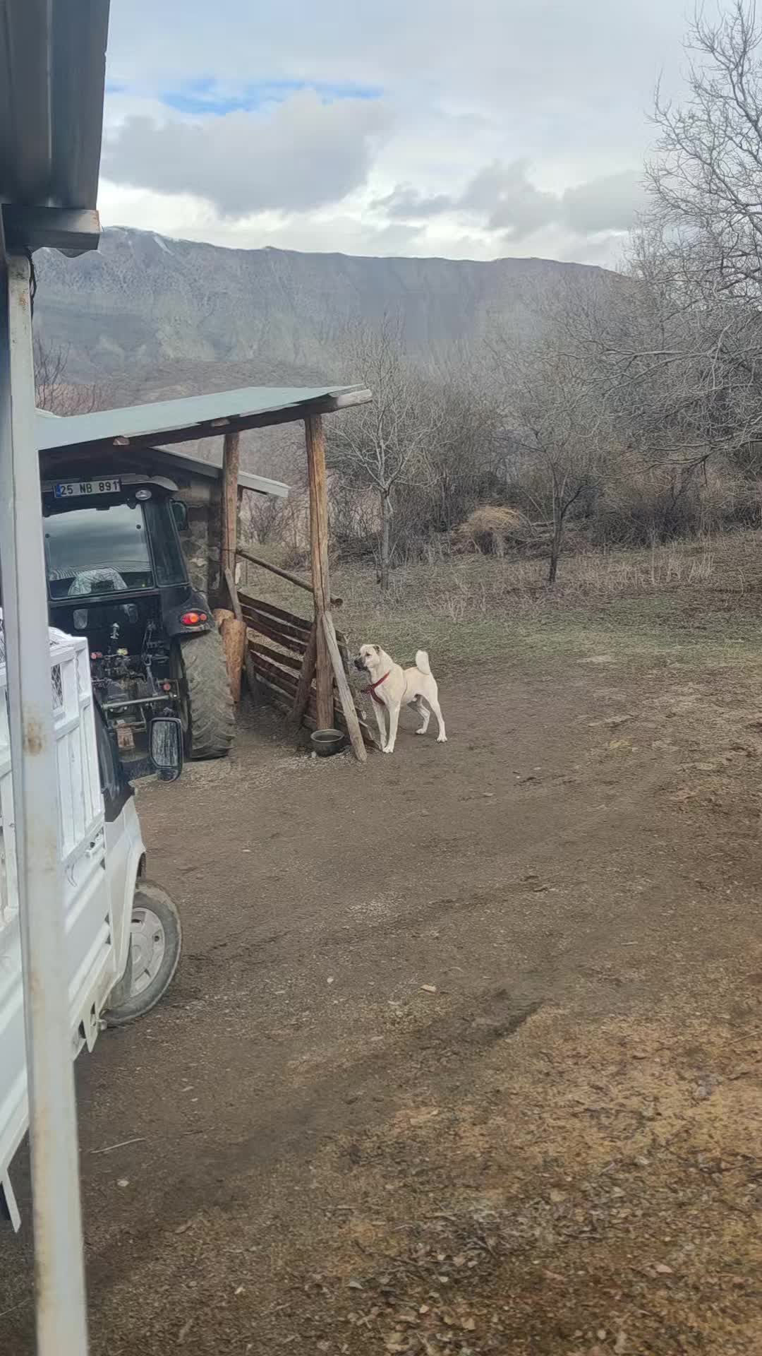 @PALA 25🐺