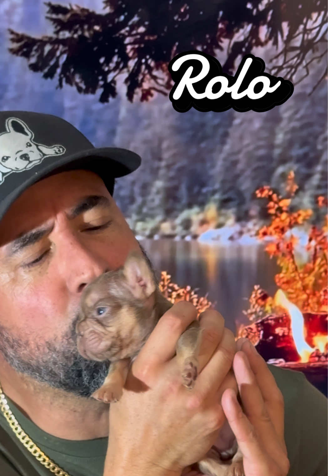 @FriendlyFrenchiesOC