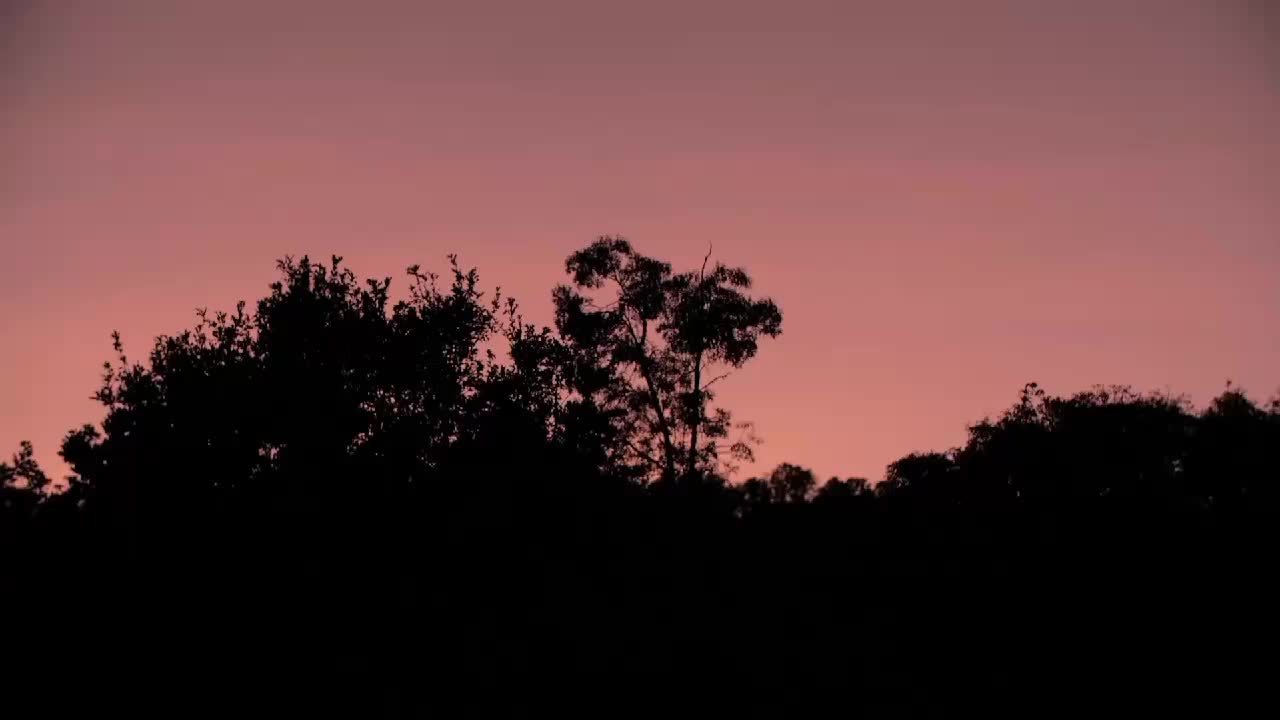 @&bull;&bull;&bull;