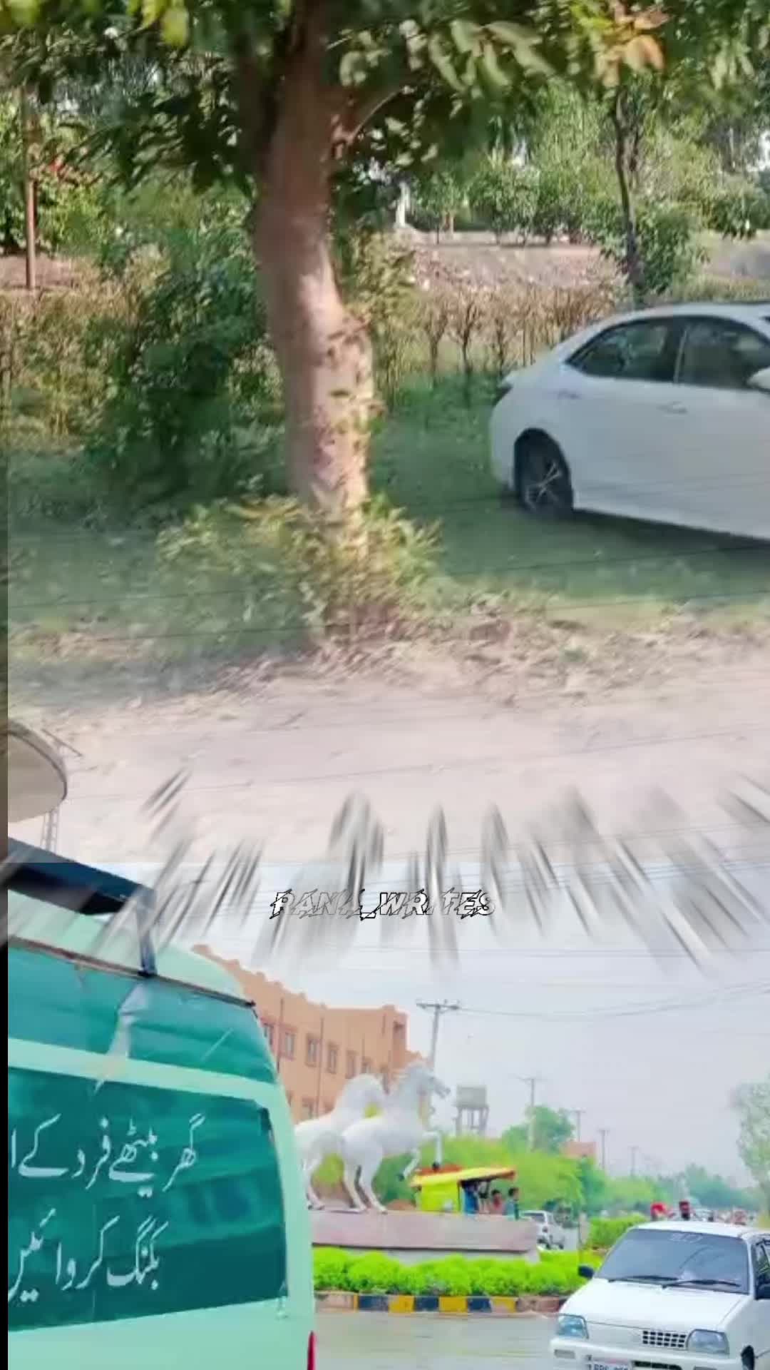 @Arizona Ali198