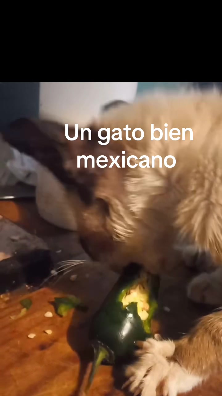 @González G