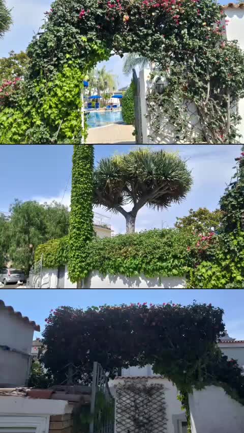 @Davide Marchesiello