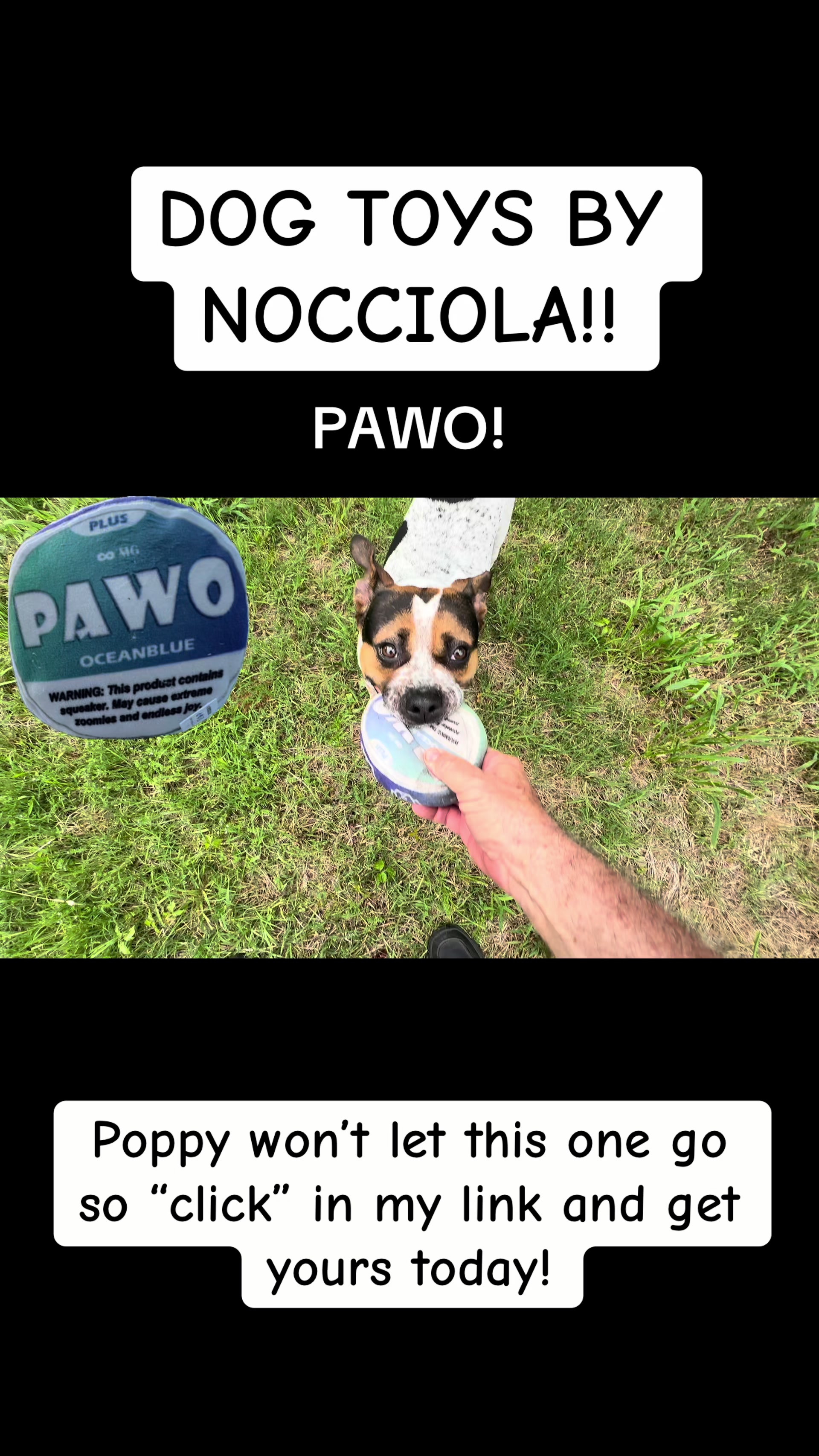 @๐ @stickwithdave