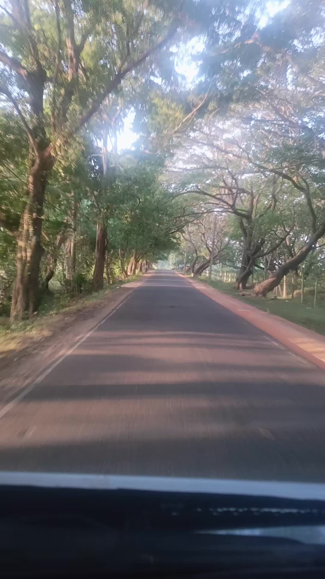 @Geenu 31
