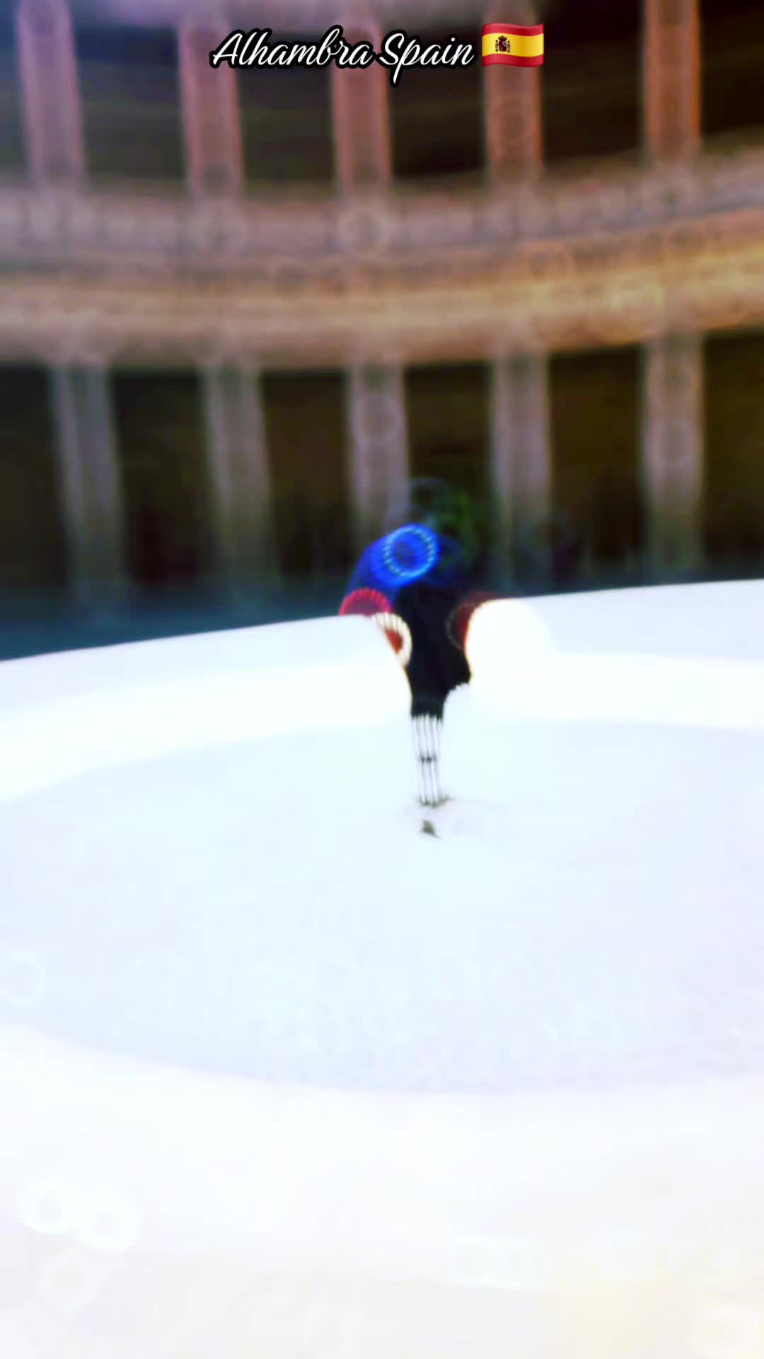 @gulfraz007