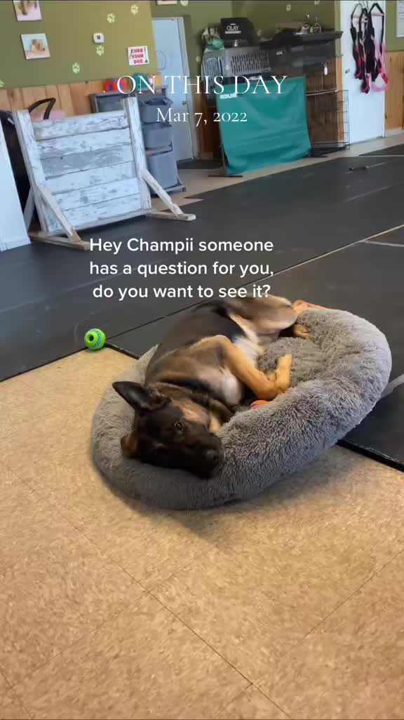 @ChampGSD