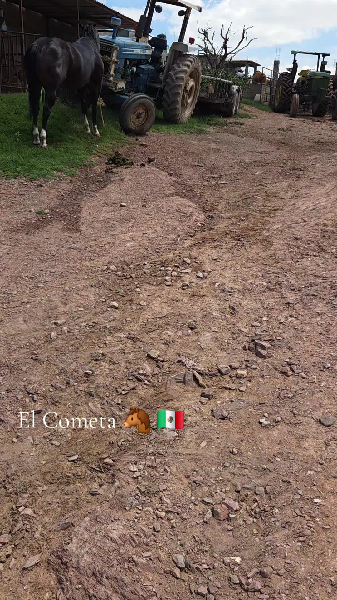 @BarbaCerrada0519