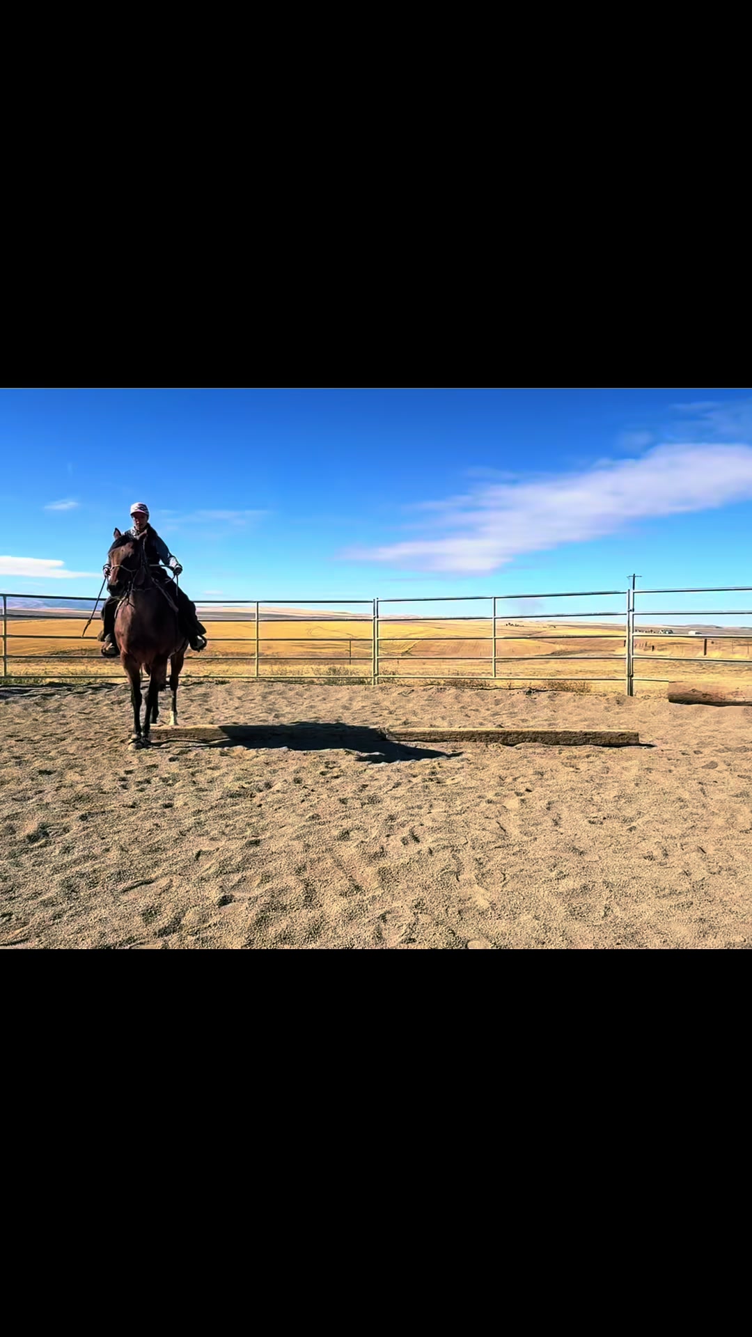 @Cowgirl Tuff Colt Training ❤️