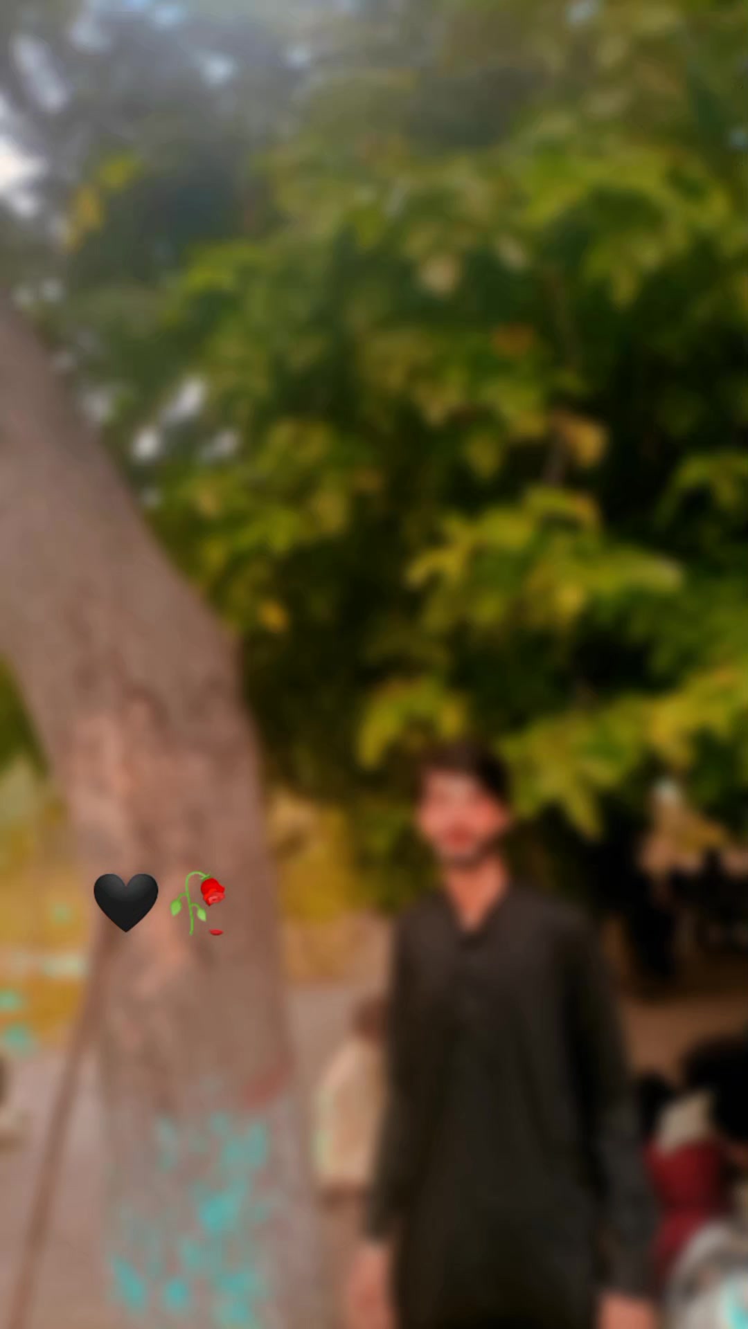 @usmanMalik🖤🥀804