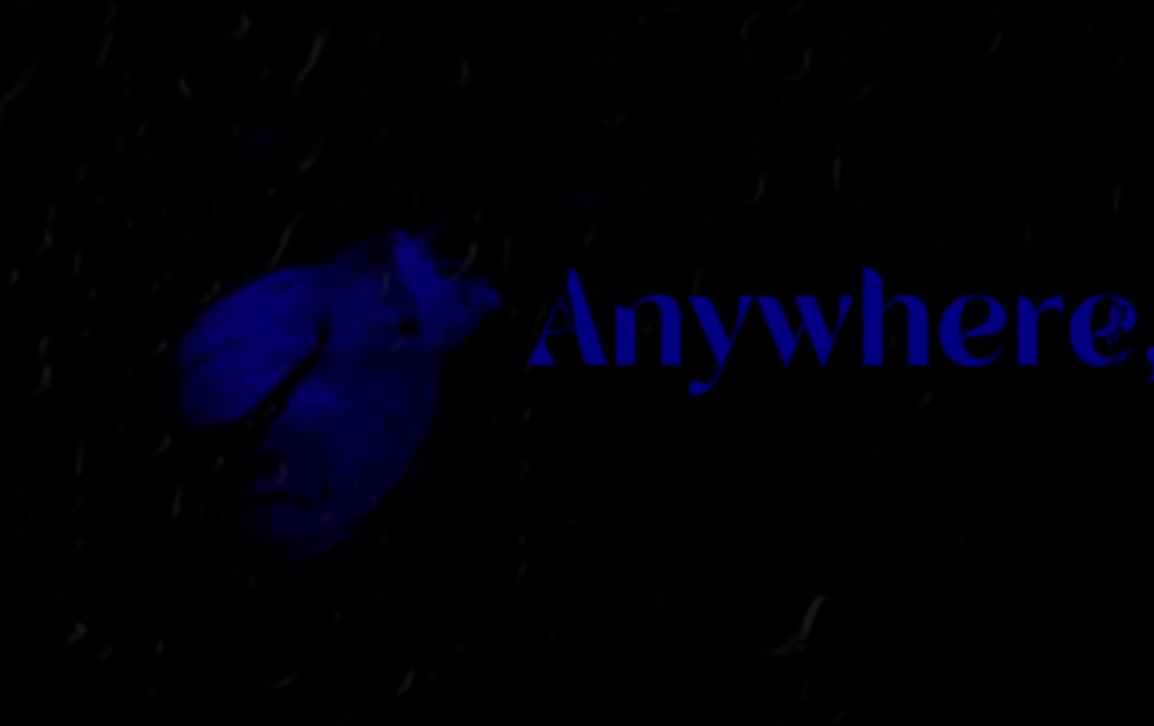 @❦._.✿