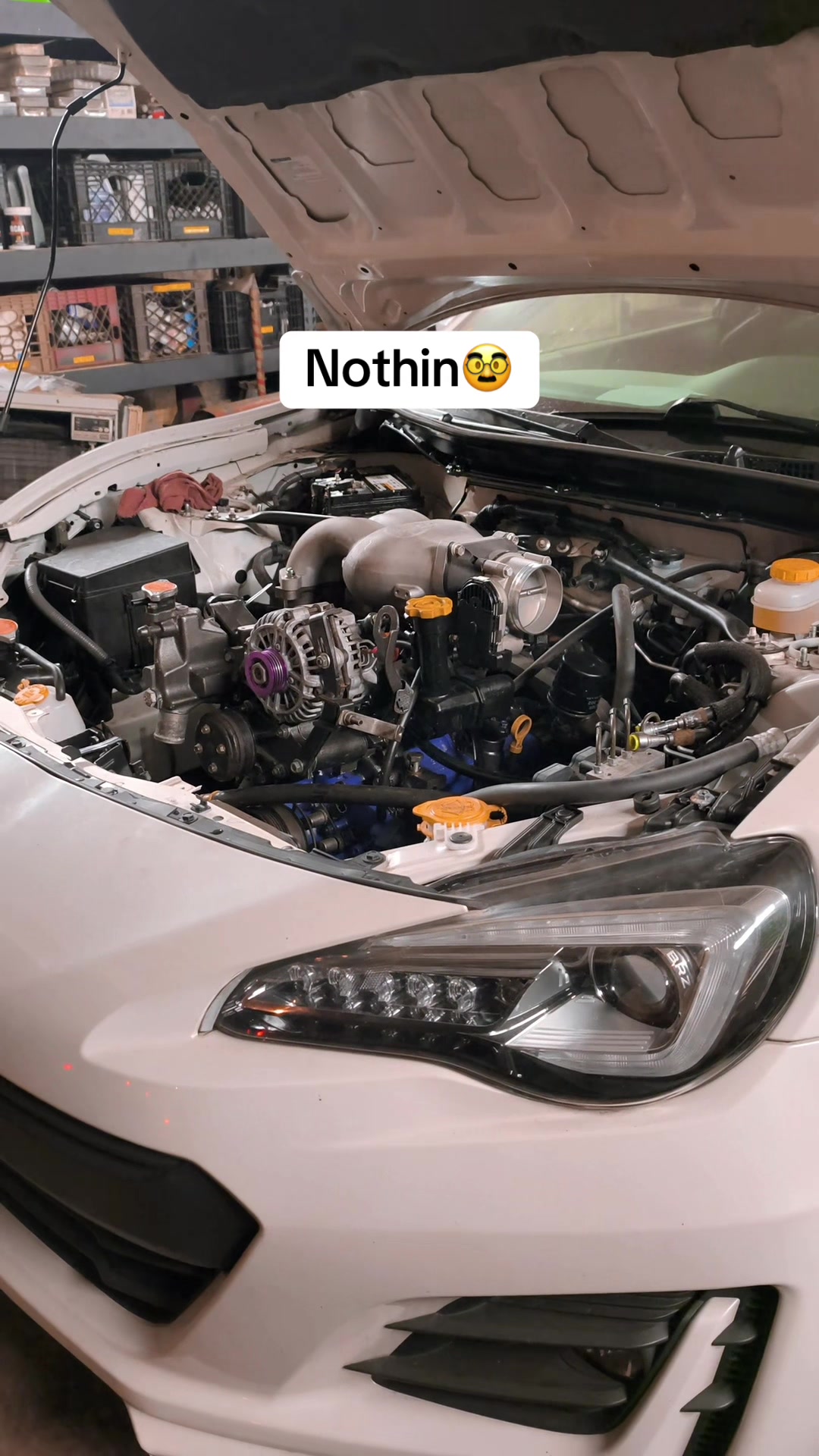 @monstermotoring