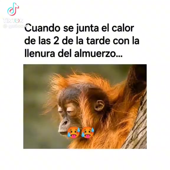@arely🥰❤️