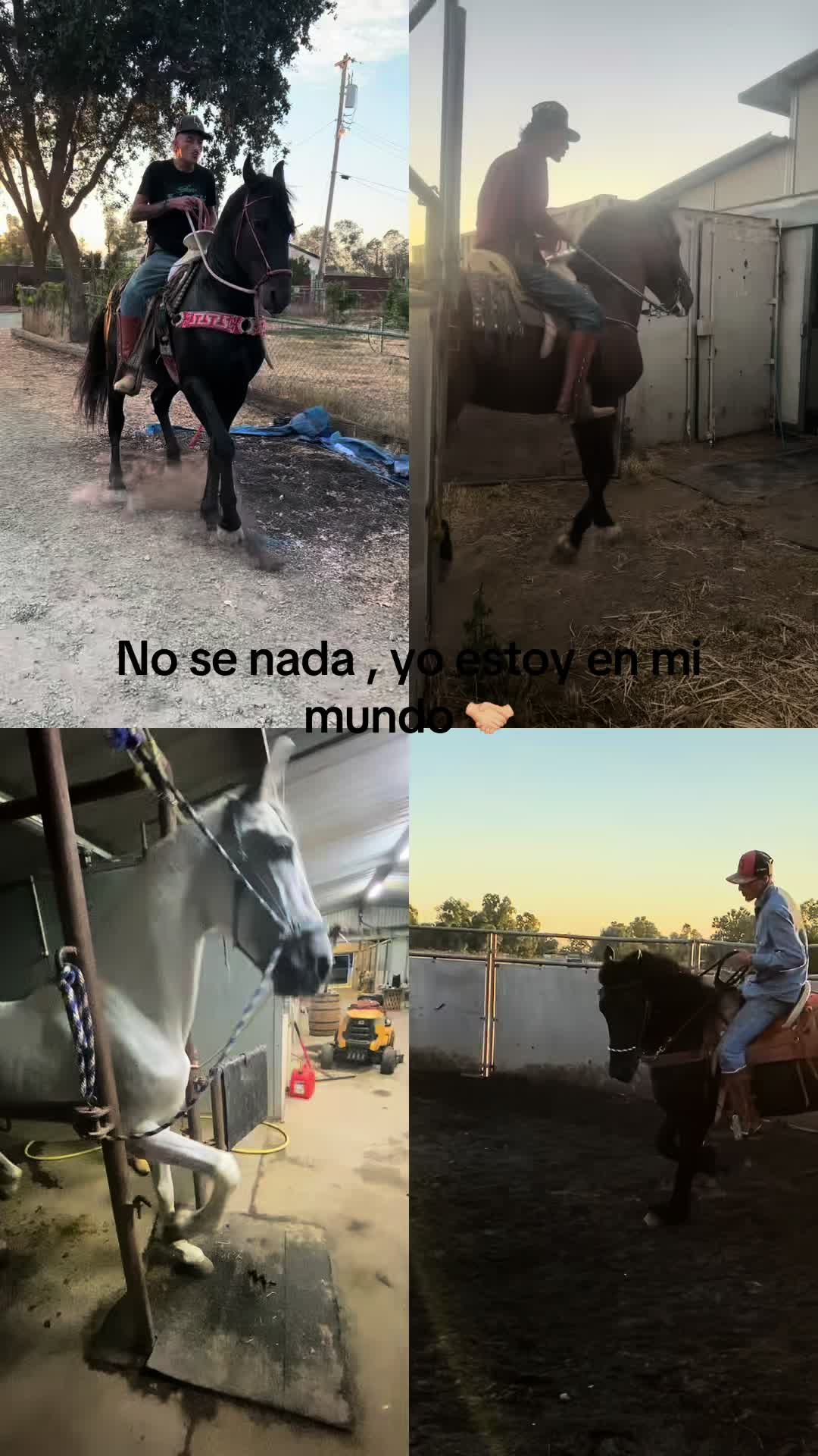 @Compa_guero04