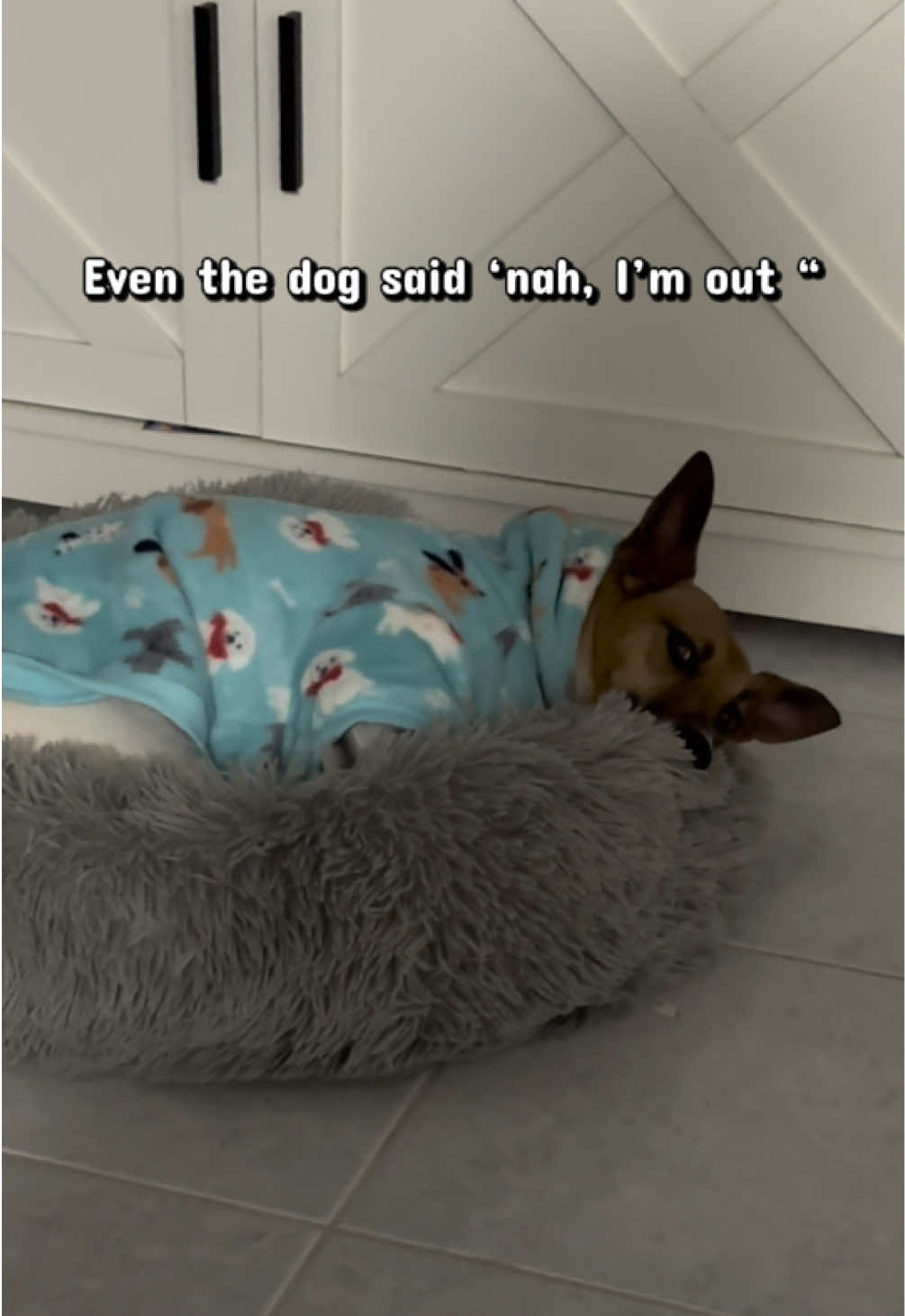 @the_Em_files