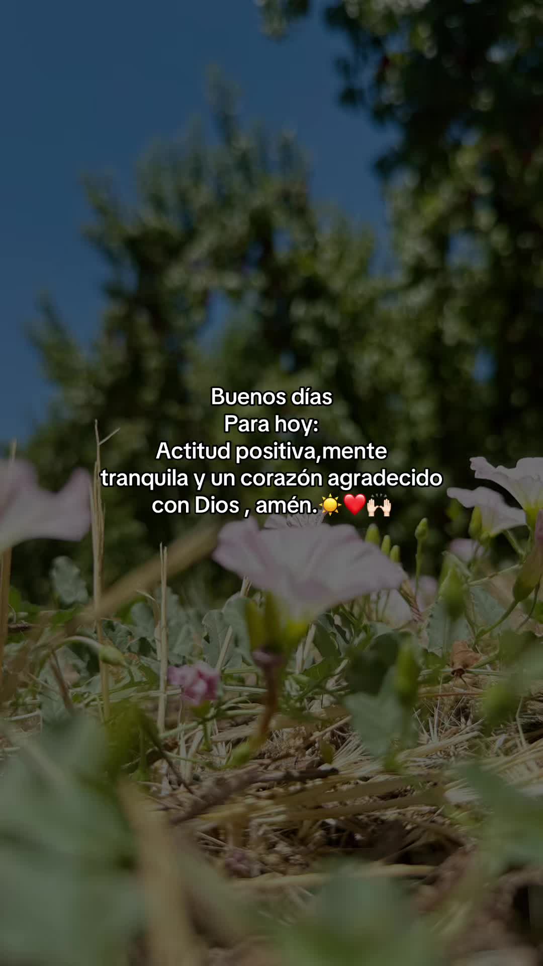 @🍒𝔽𝕝𝕠𝕣🍒🦋𝔸𝕣𝕖𝕝𝕚🦋