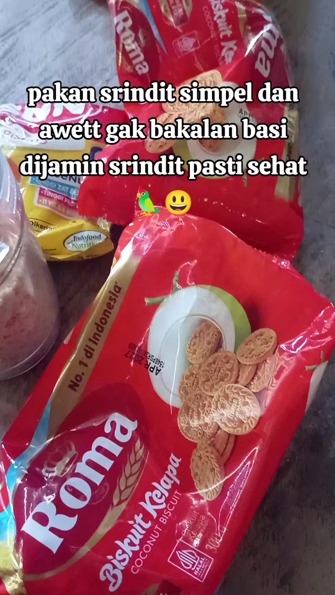 @Srindit kaltara 🦜