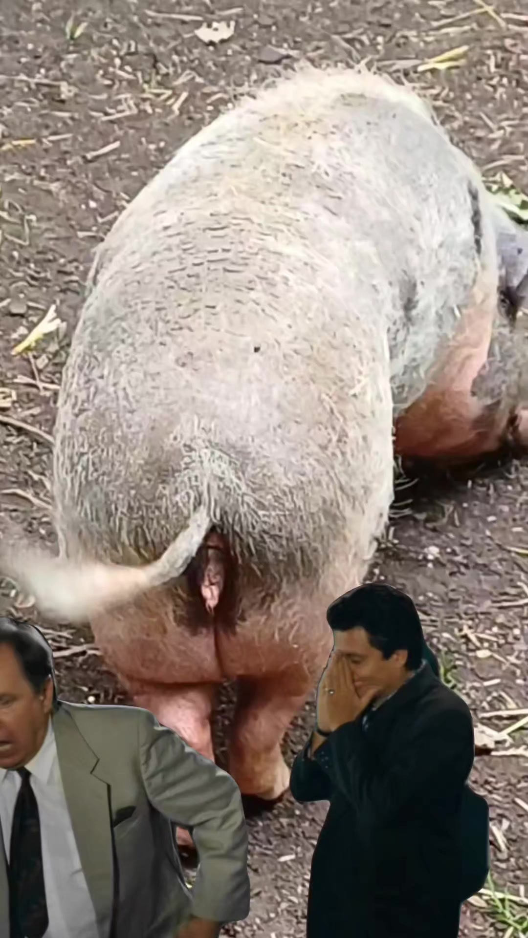 @Grozorteille