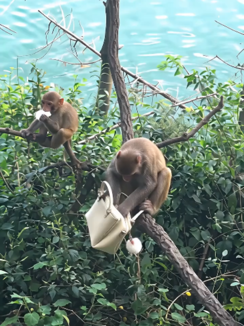 @陈维宣