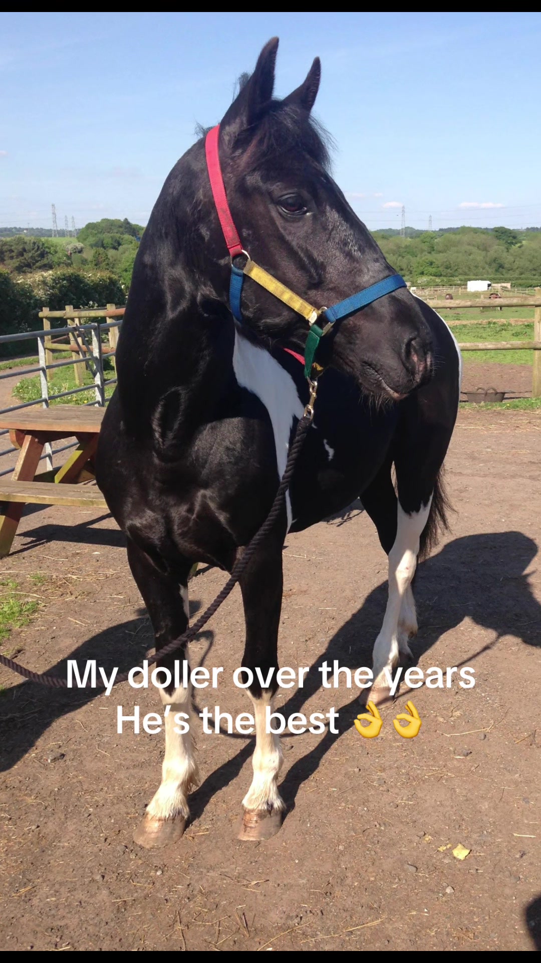 @markhayward1994