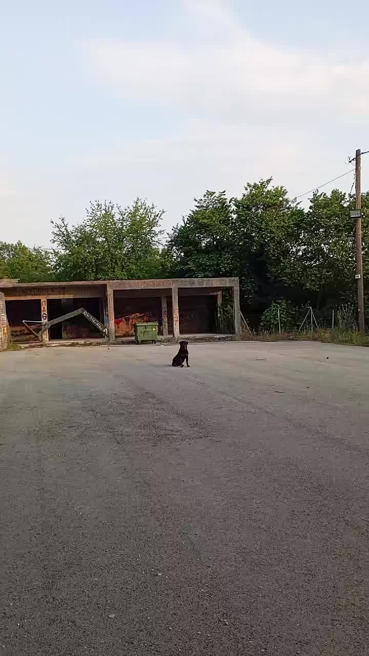 @Tasos Krikelis