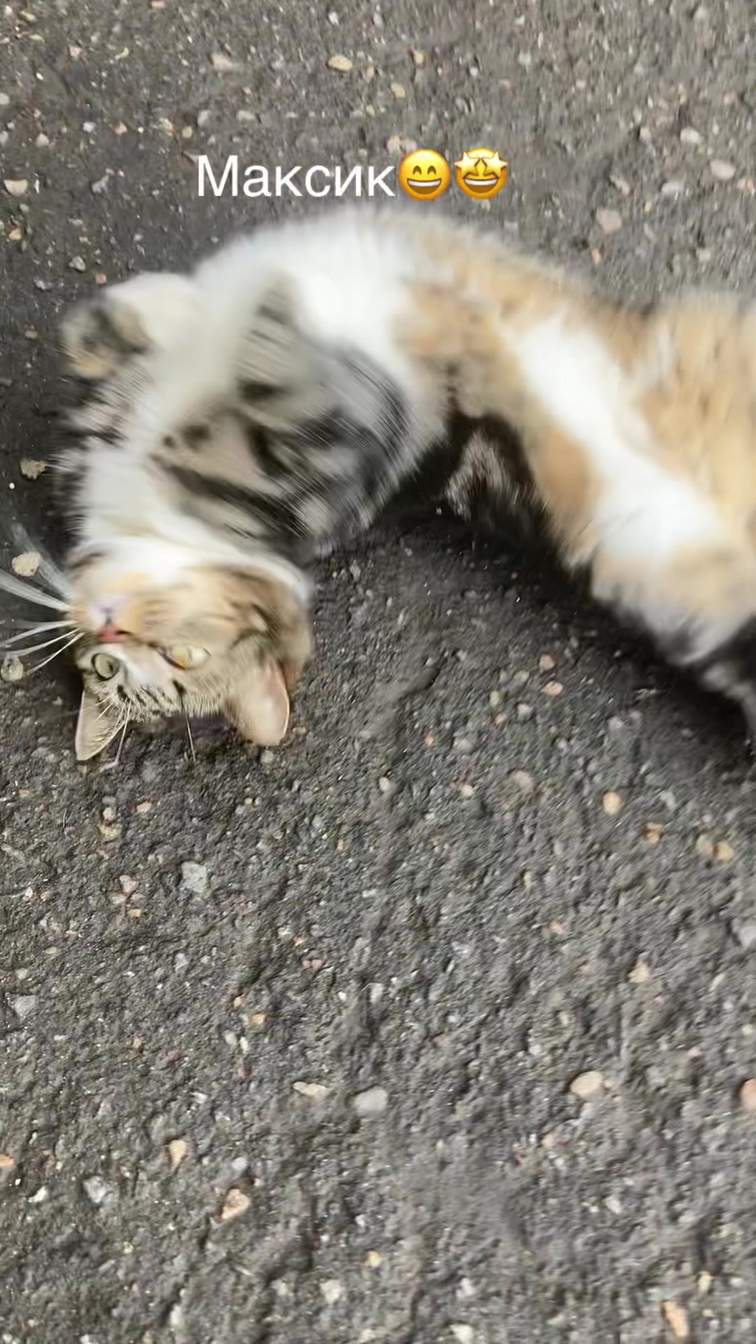 @Ромашка