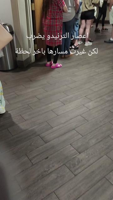 @Dina33953