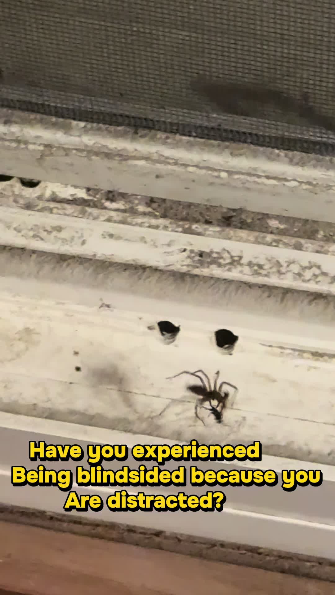 @Wendy