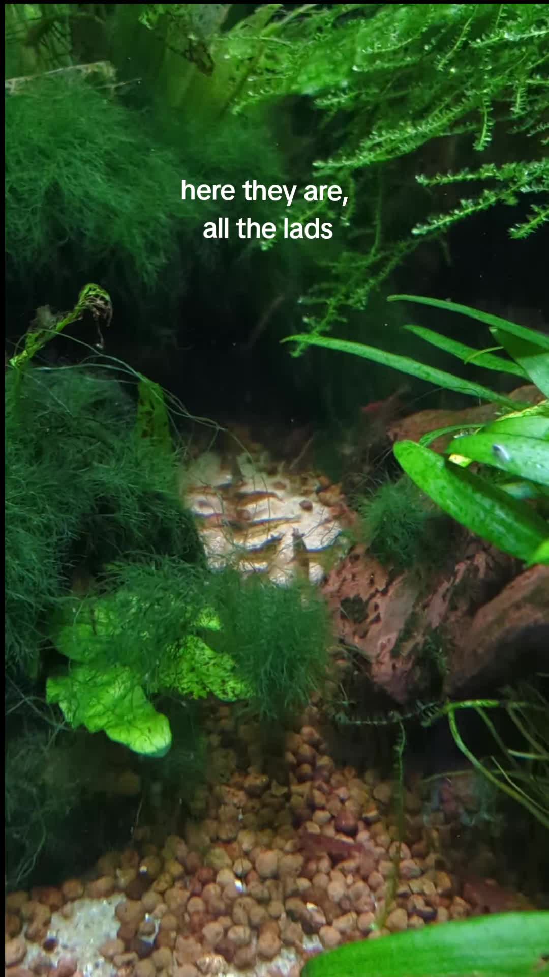 @BristolAquarium