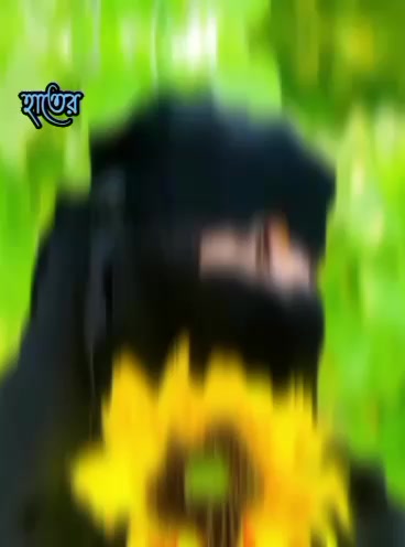@NEHAL KARIM