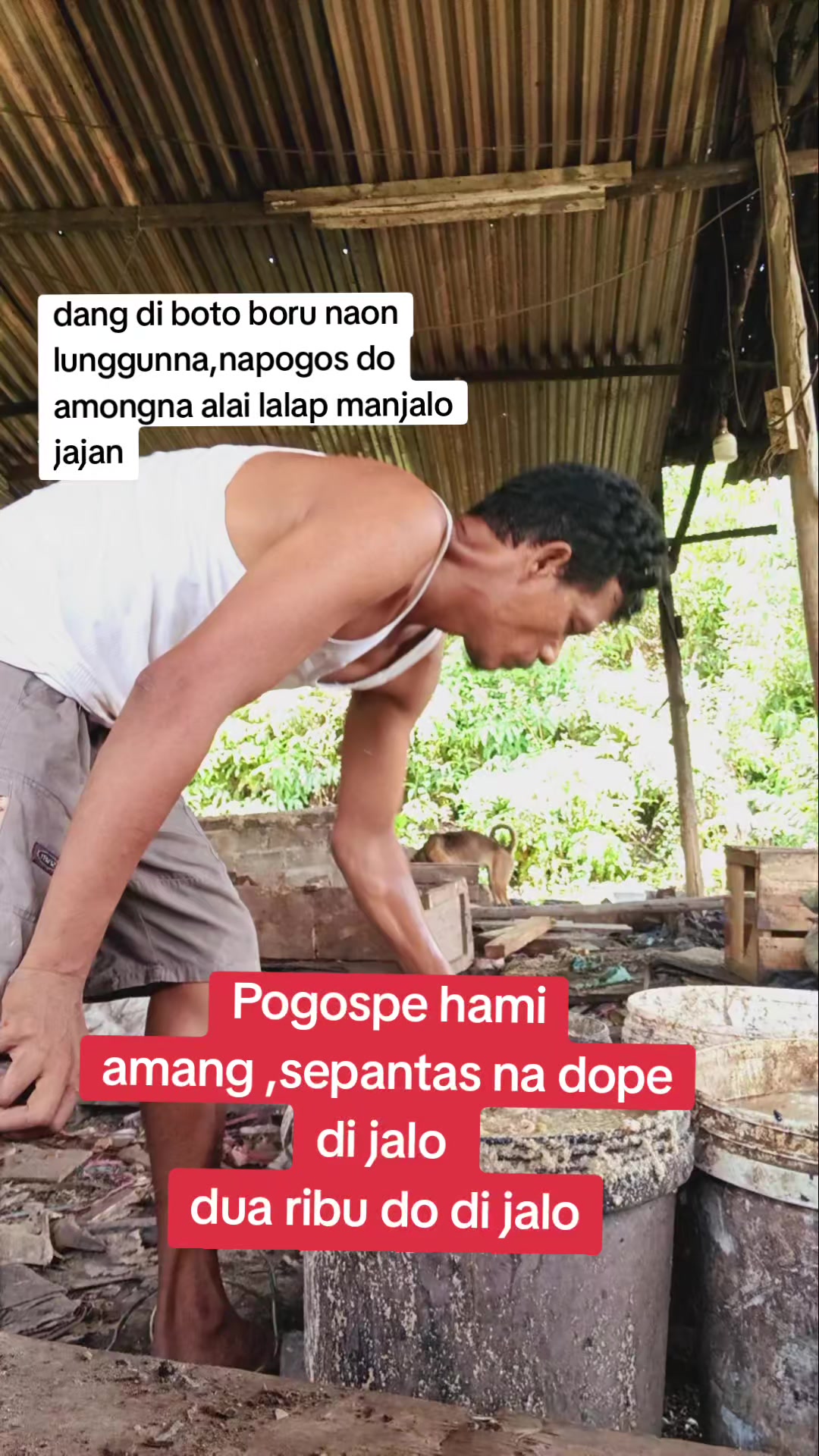 @SOPO BALIAN SI BORU TOBA