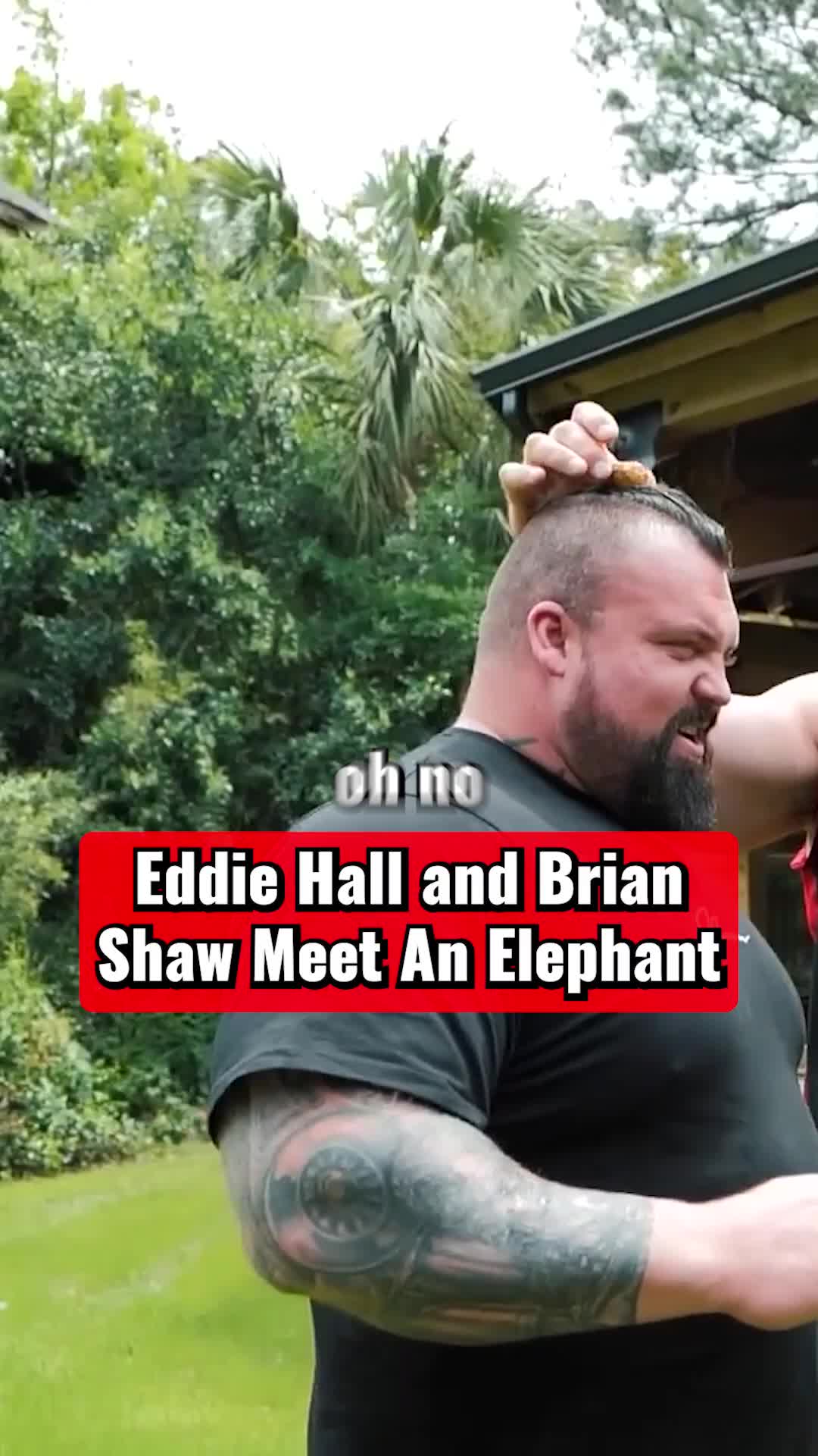 @Eddie Hall - The Beast