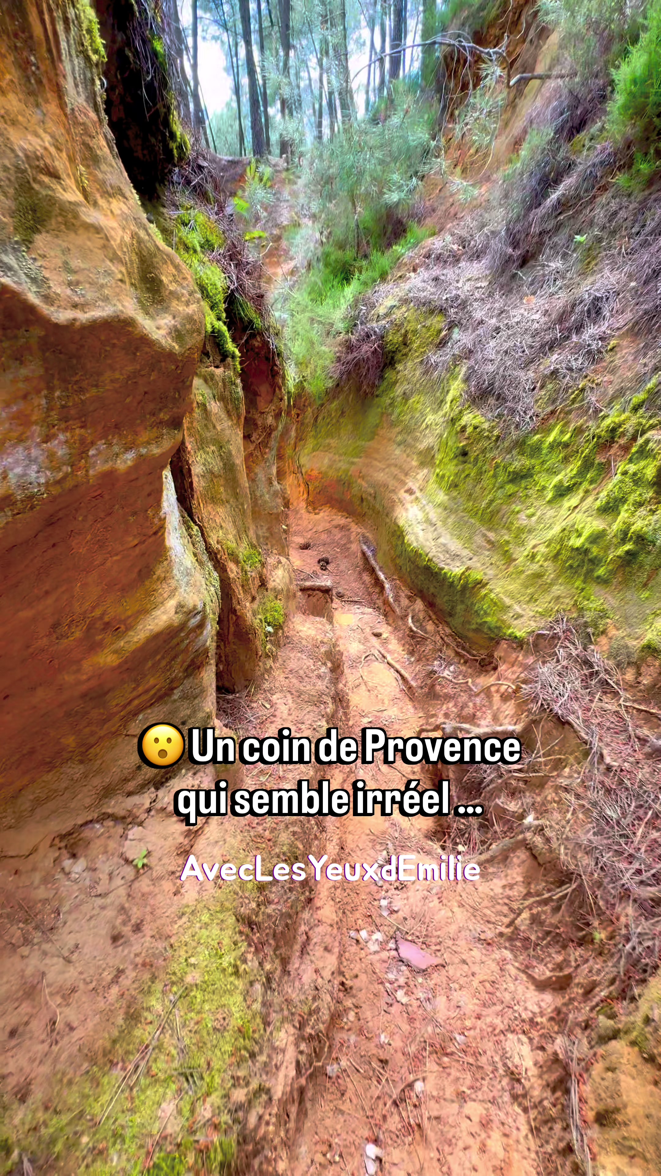 @AveclesyeuxdEmilie