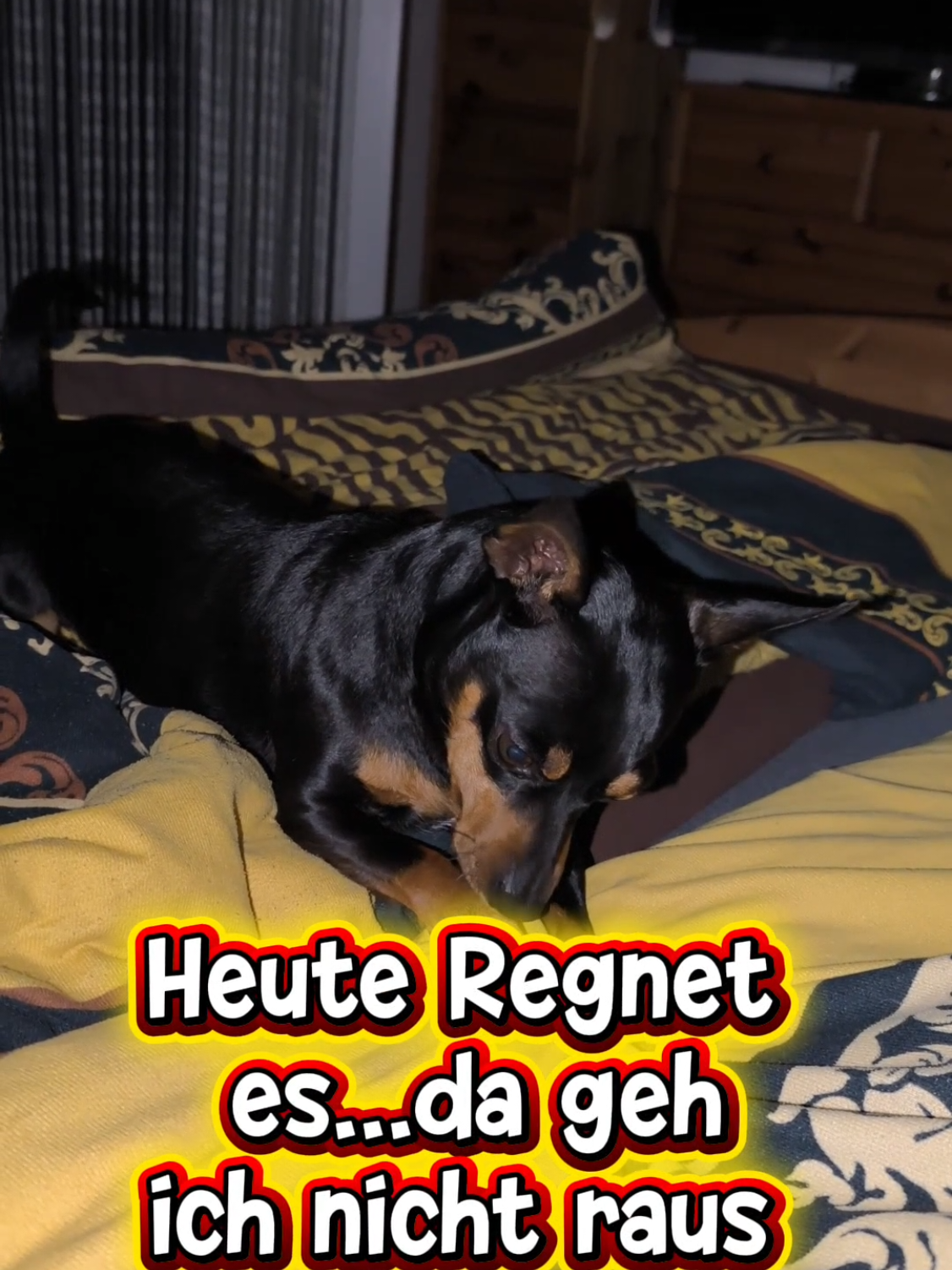 @ICH BIN'S