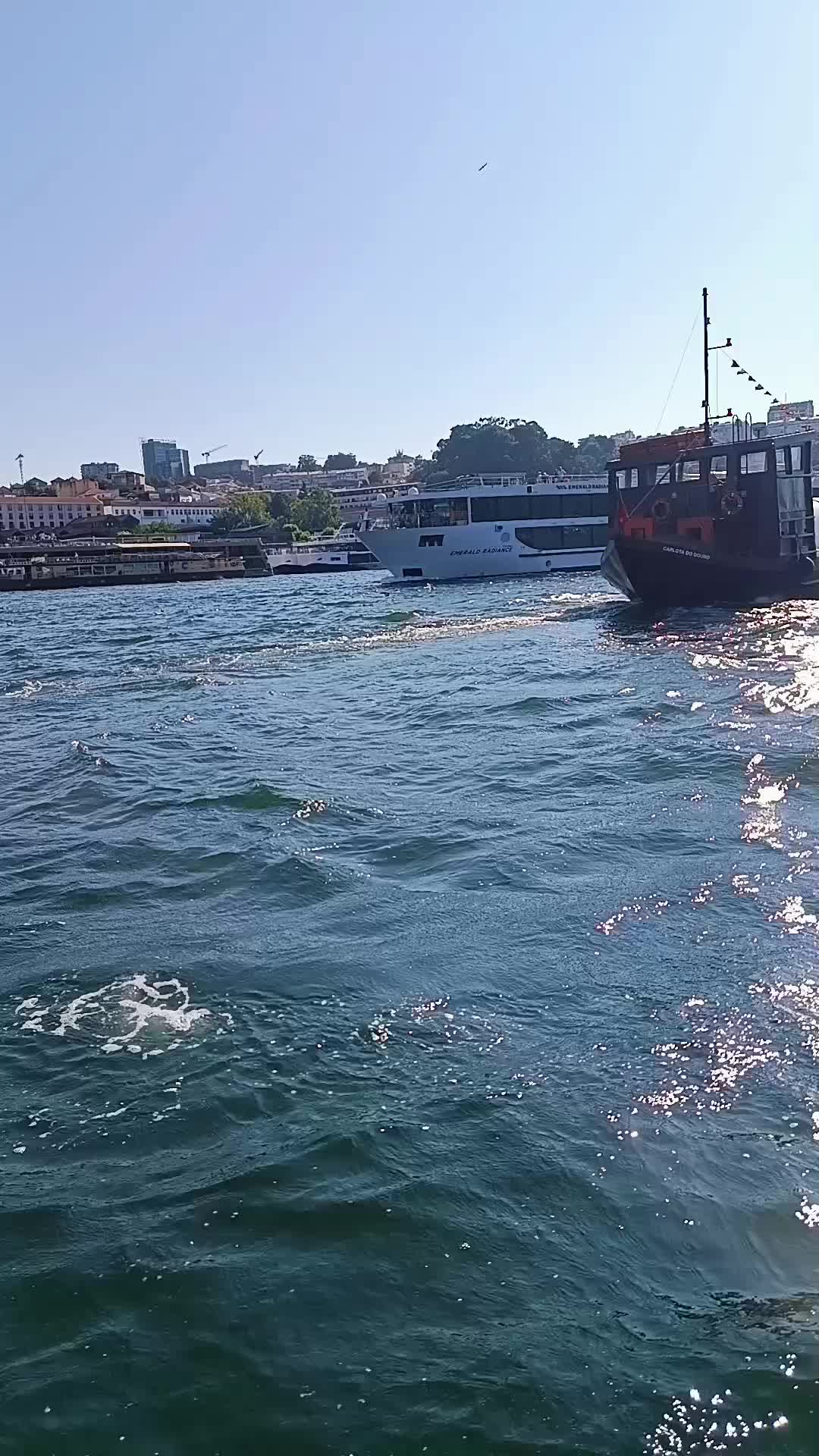 @porto ribeira