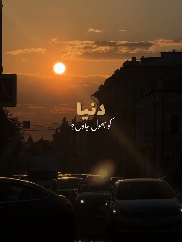@𝙏 𝘼 𝙔 𝙔 𝘼 𝘽🍁•