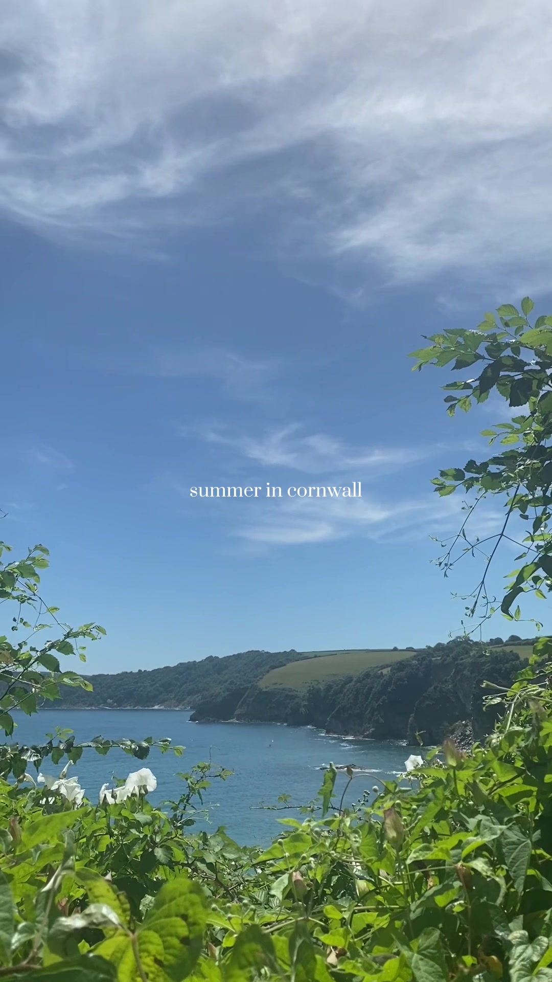 @Summer Reed