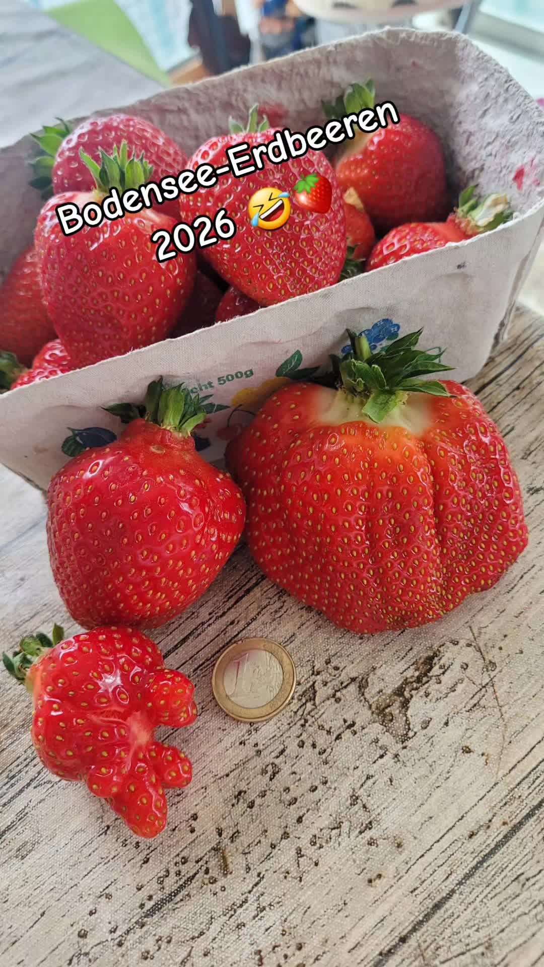 @Gänseblümchen
