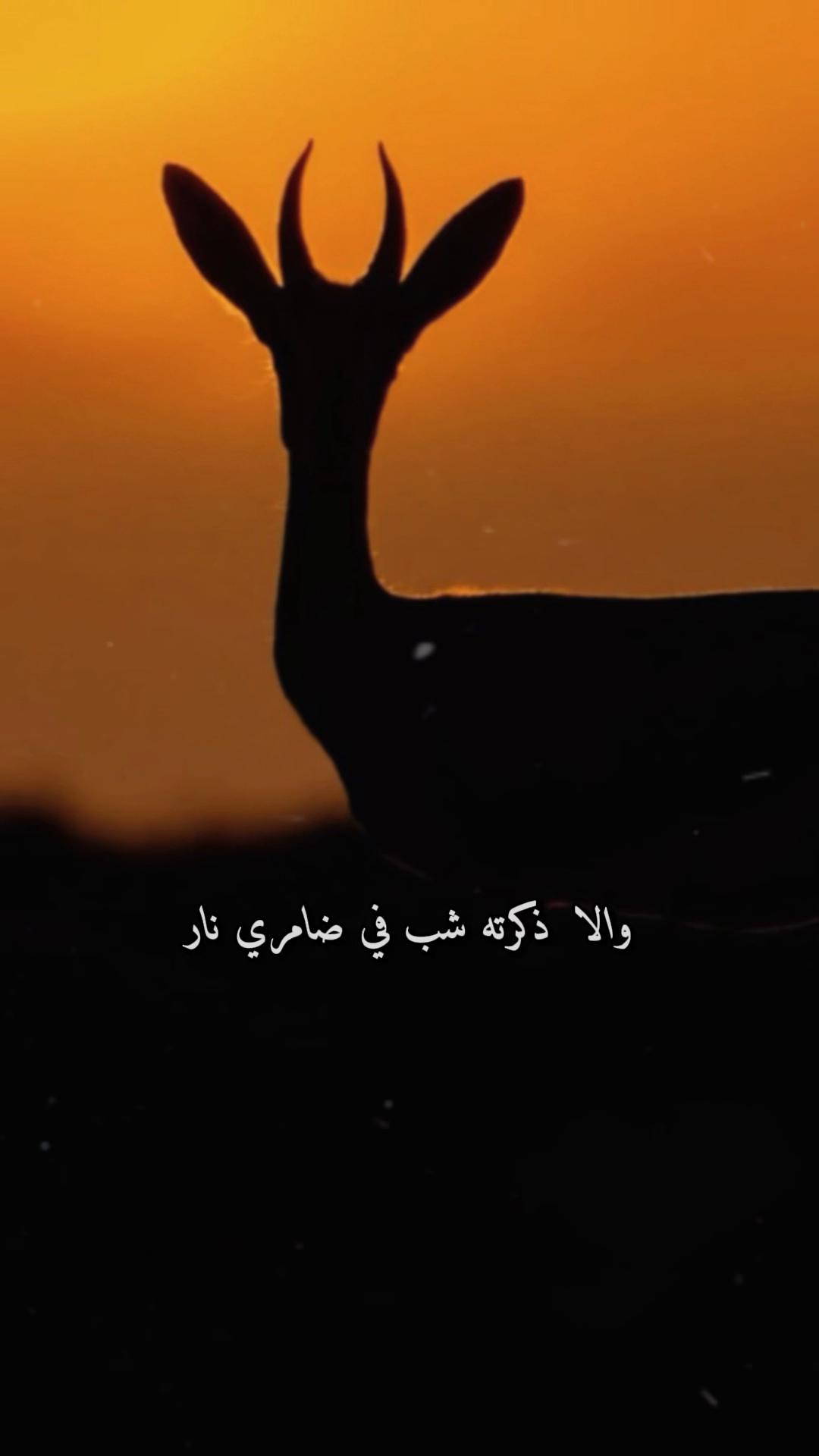 @﮼غزال🦌