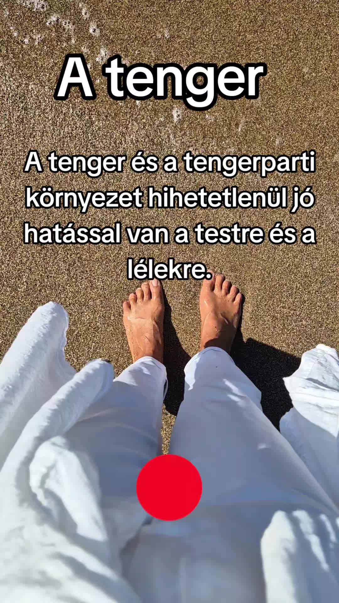 @napocskasugara